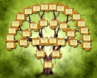 Árbol genealógico de Antepasados Diseño en forma de árbol