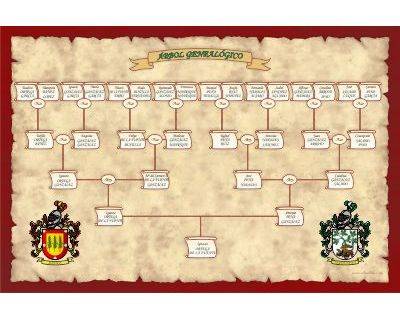 Árbol genealógico de Antepasados Diseño en forma lineal