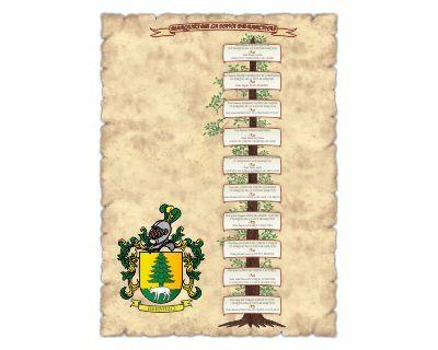 Árbol genealógico de Antepasados por línea de Apellido Diseño en forma de árbol