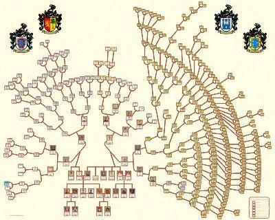 Árbol genealógico de Antepasados Diseño en forma circular