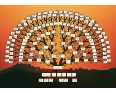 Árbol genealógico de Antepasados Diseño en forma de árbol