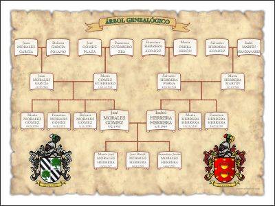 Árbol genealógico Mixto Diseño en forma lineal