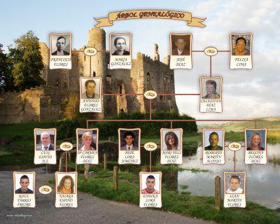 Árbol genealógico Mixto Diseño en forma lineal