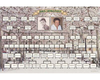 Árbol genealógico Mixto Diseño en forma lineal