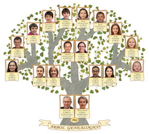 Diseño de árbol genealógico sencillo personalizado con fotografías de los familiares