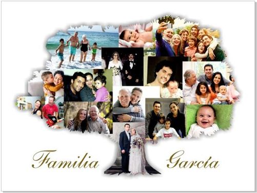 Collage of photographs forming a Family Tree